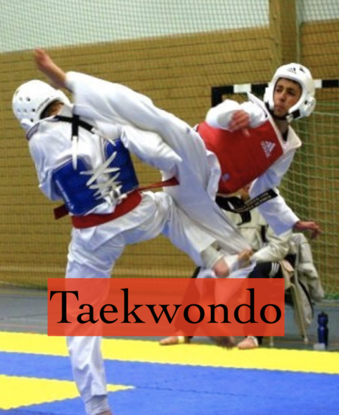 Taekwondo MOS