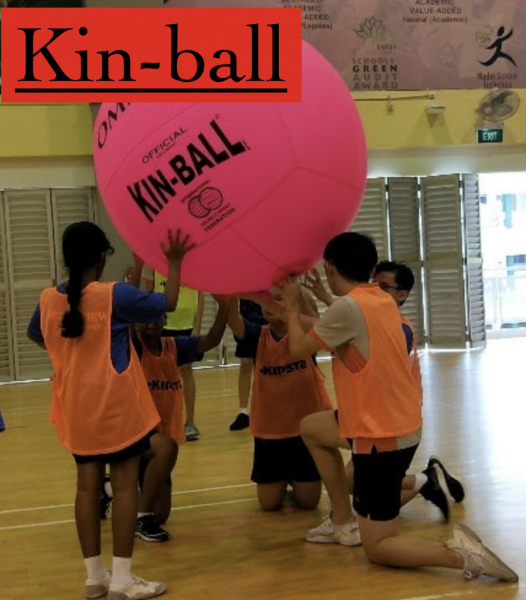 Kinball Videos on 5 July 2019 - Google Drive 2020-04-07 13-41-01