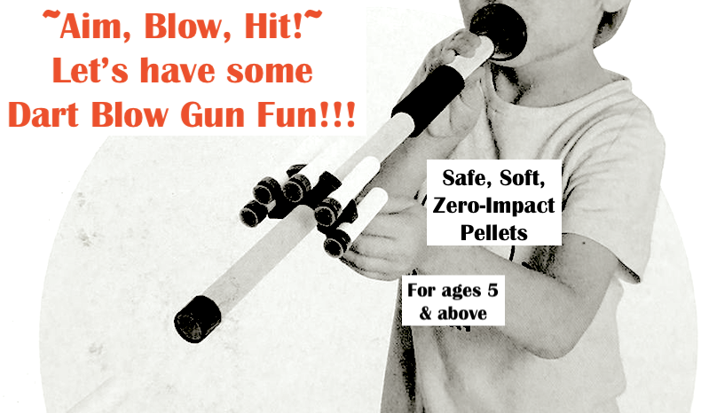 Dart Blow Gun